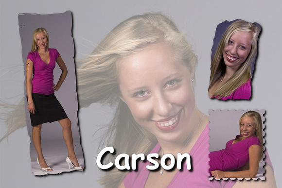 Carson 3046